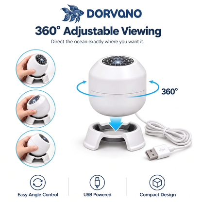 Dorvano™ Ocean Light